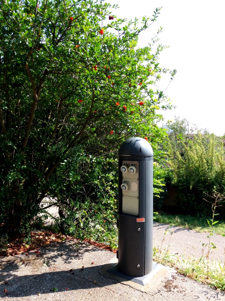 Caluire-et-Cuire - Allée du Parc de la Jeunesse, borne à prises électriques