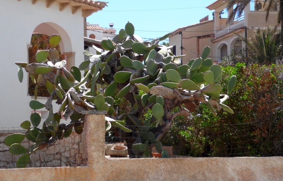 CALA FIGUERA - MAJORKA, AB-057