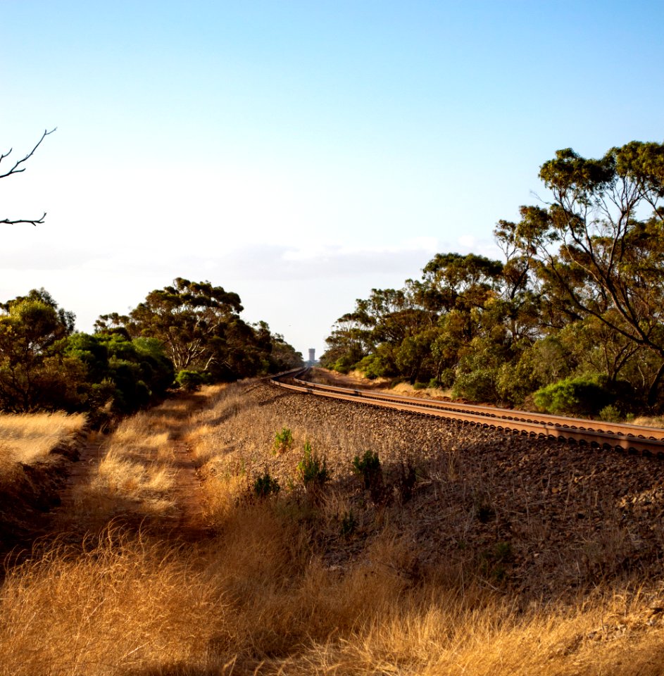 Calomba South Australia