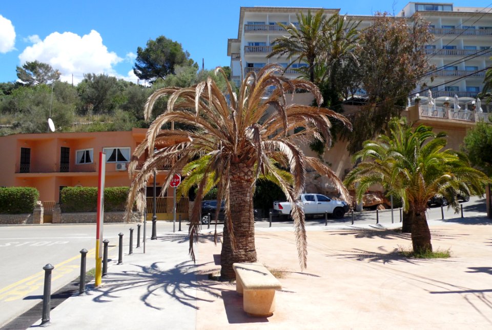 CALA SANTANYI - Majorka, AB-004
