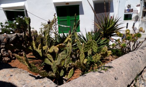 CALA SANTANYI - Majorka, AB-026