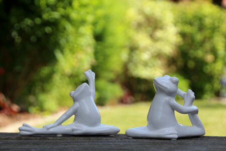 Yoga frogs gymnastics