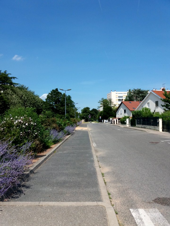 Caluire-et-Cuire - Allée des Monts d'Or, partie nord, depuis le chemin du Penthod