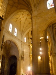 Calahorra - Catedral, bóvedas 05