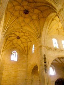 Calahorra - Catedral, bóvedas 04