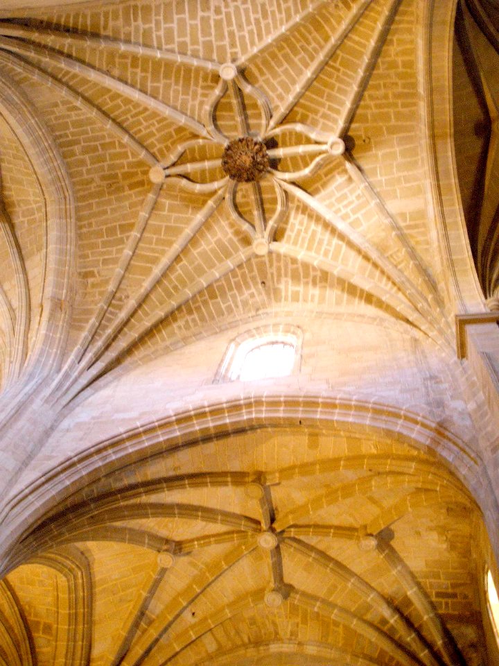 Calahorra - Catedral, bóvedas 03