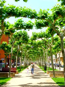 Calahorra - Avenida de Valvanera 05