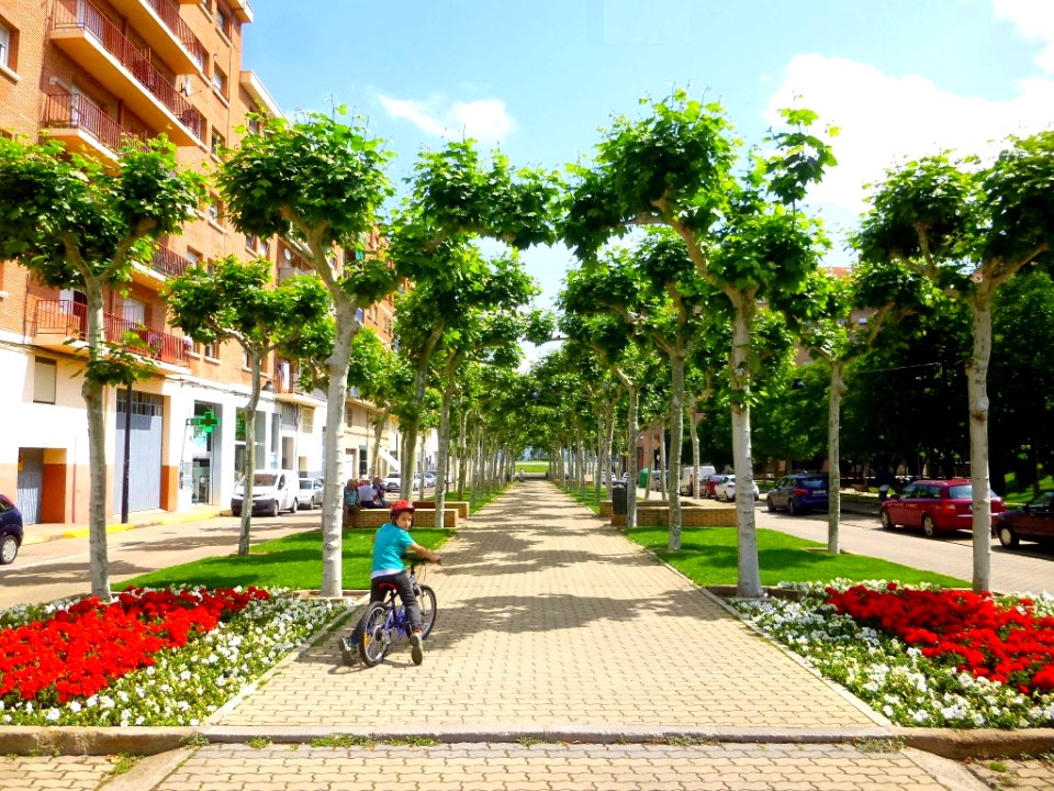 Calahorra - Avenida de Valvanera 10