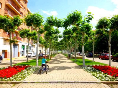 Calahorra - Avenida de Valvanera 10