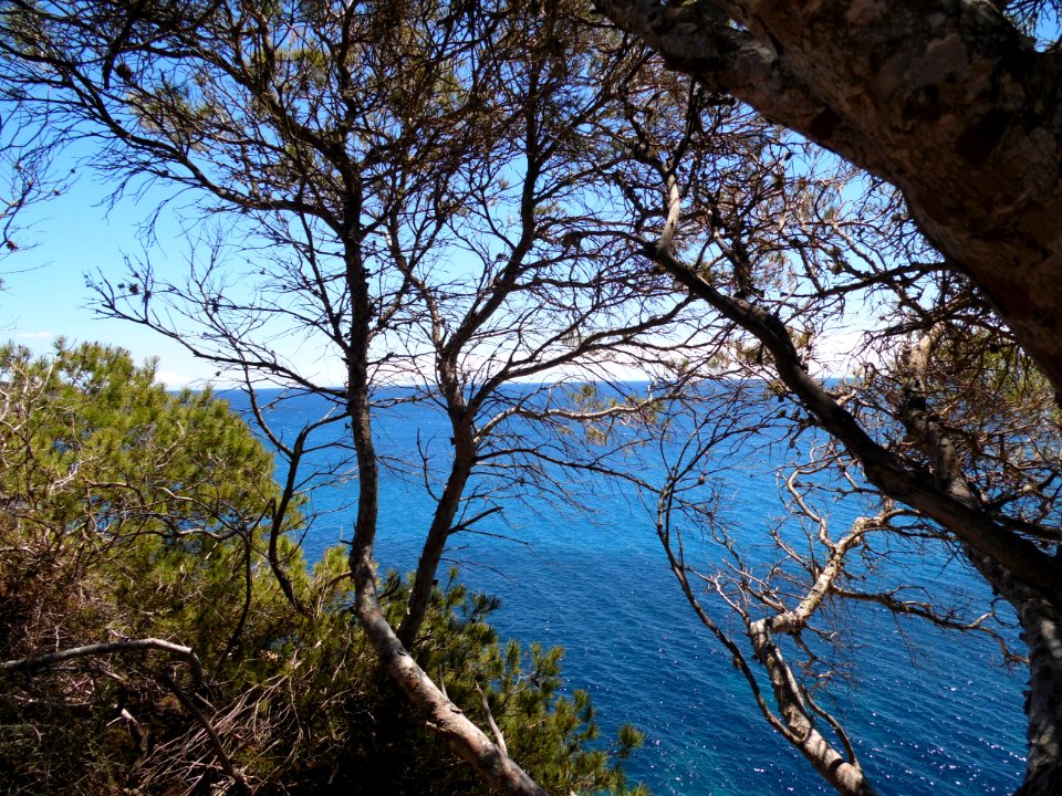 CALA SANTANYI - Majorka, AB-052