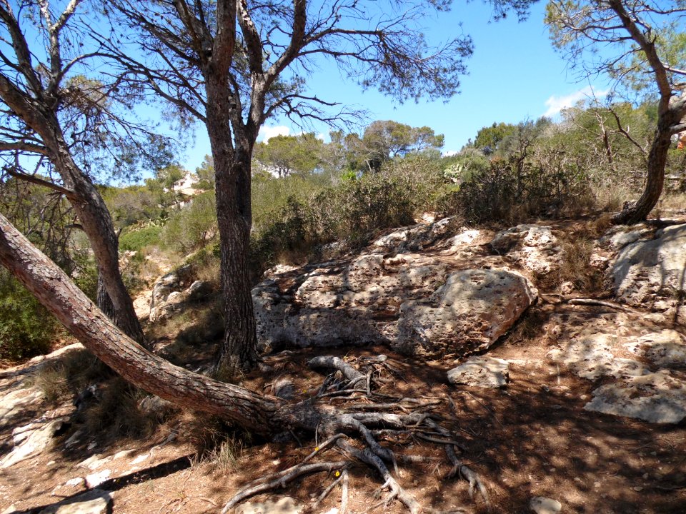 CALA SANTANYI - Majorka, AB-063