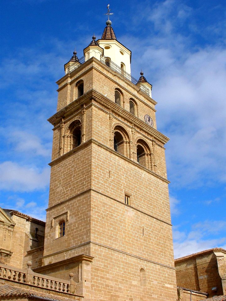 Calahorra - Catedral 02