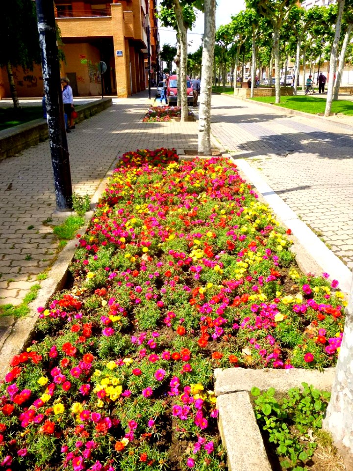 Calahorra - Avenida de Valvanera 09