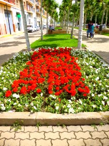 Calahorra - Avenida de Valvanera 11