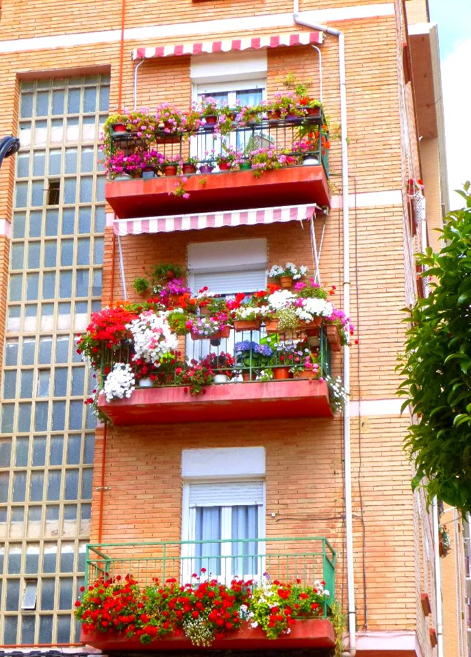 Calahorra - Bloques de apartamentos 09