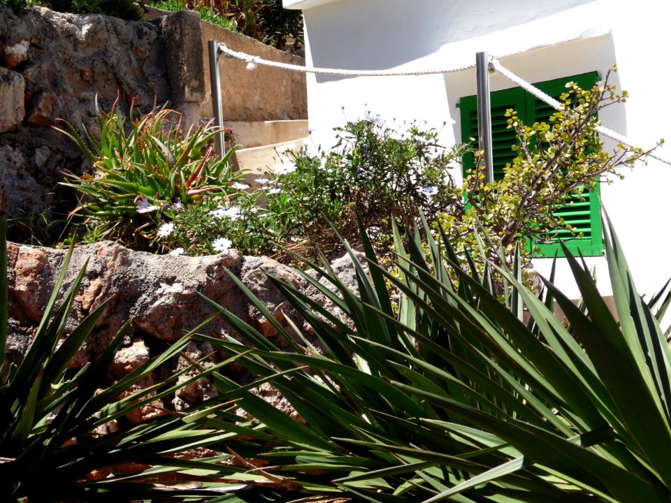 CALA SANTANYI - Majorka, AB-028