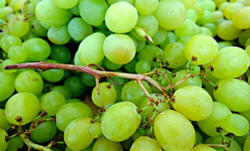 Nutrition white grapes fresh fruit photo