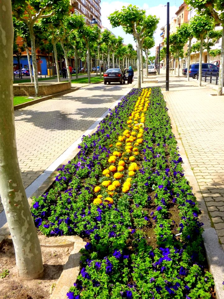 Calahorra - Avenida de Valvanera 02