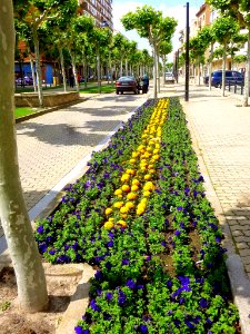 Calahorra - Avenida de Valvanera 02