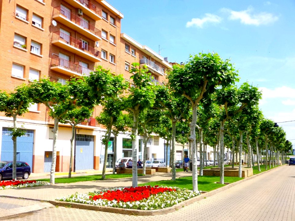 Calahorra - Avenida de Valvanera 08