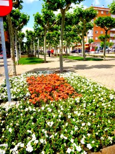 Calahorra - Avenida de Valvanera 07