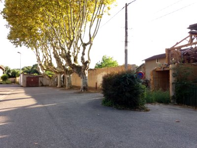 Cailloux-sur-Fontaines - Place de l'Église, platanes et maison effondrée