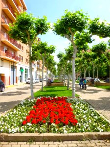 Calahorra - Avenida de Valvanera 12