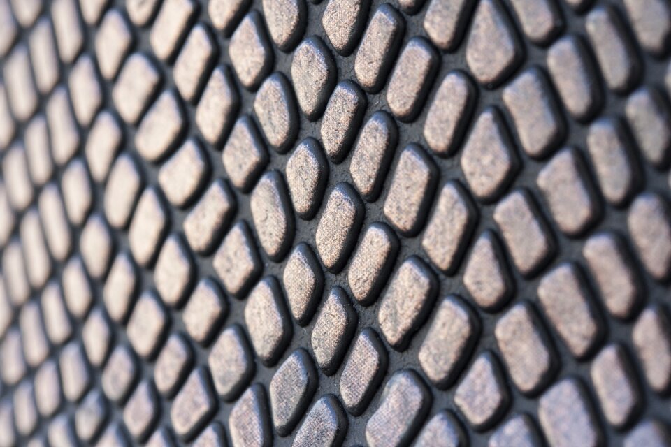 Crocodile snake background