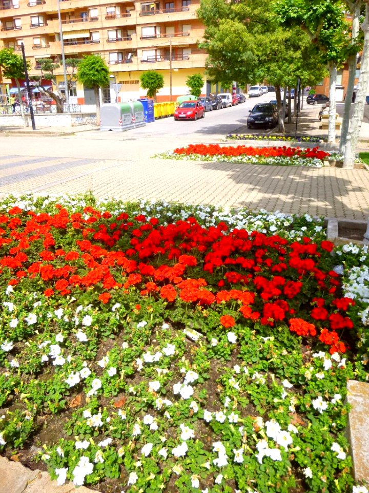 Calahorra - Avenida de Valvanera 06
