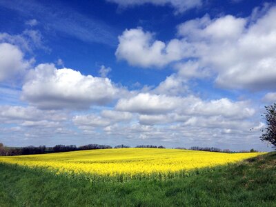 Panorama germany arable