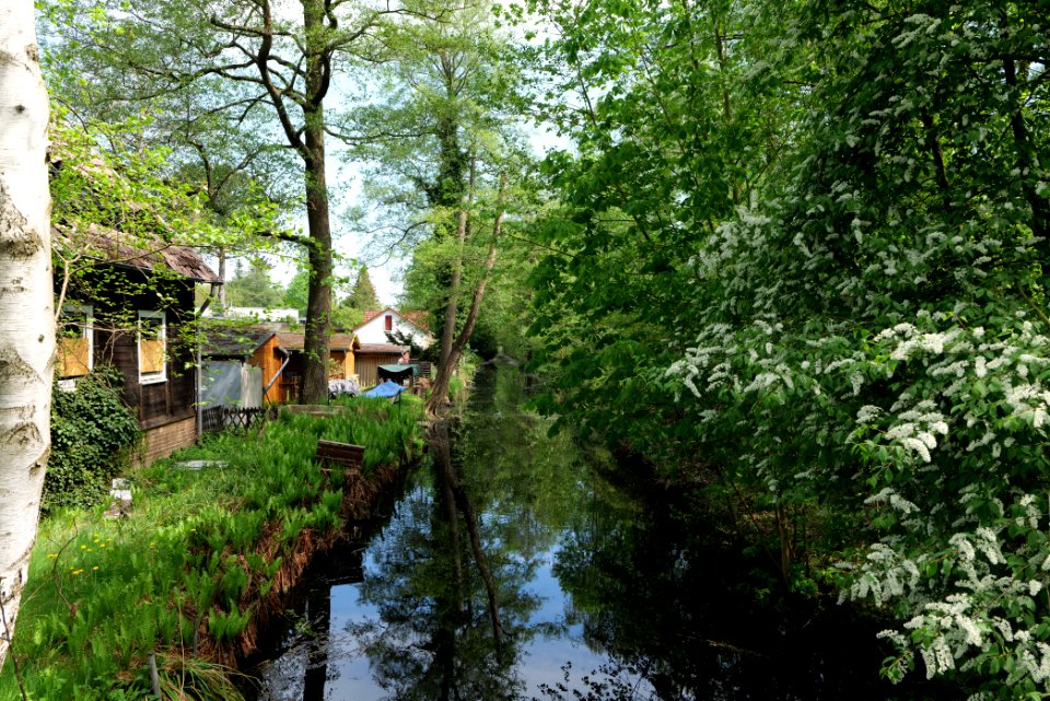 Canal in Rangsdorf 2021-05-11 04