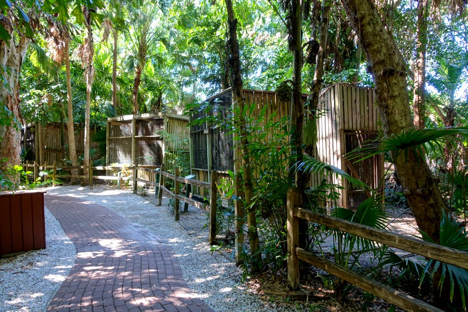 Cages - Sarasota Jungle Gardens - Sarasota, Florida - DSC02034