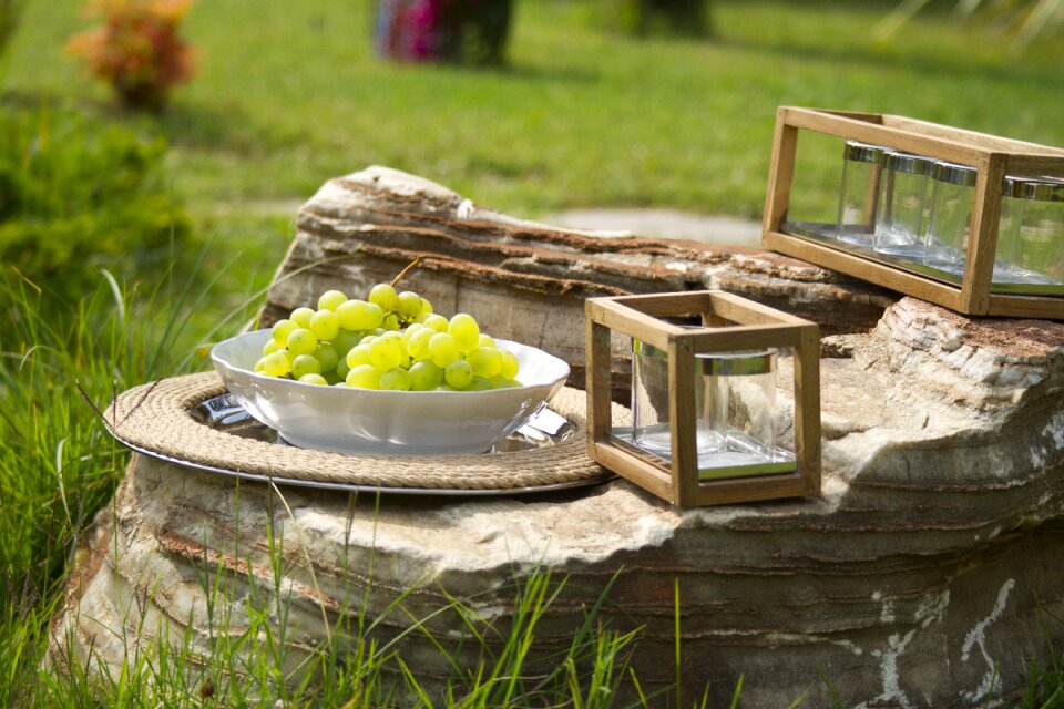 Green fresh healthy lifestyle