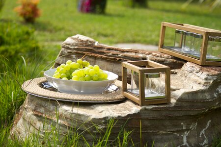 Green fresh healthy lifestyle