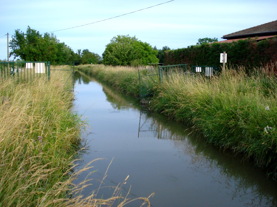 Canal du Forez à Montbrison, vers l'est