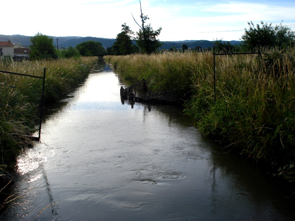 Canal du Forez à Montbrison 1