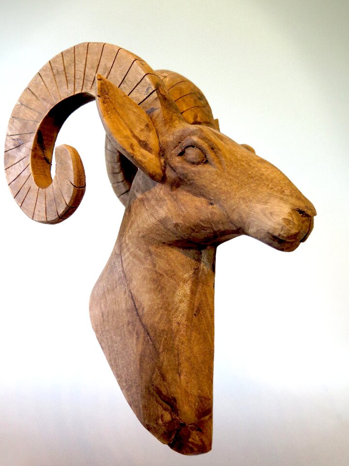 Sculpture art nature