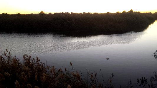 Canal de María Cristina al norte de la ciudad de Albacete 5