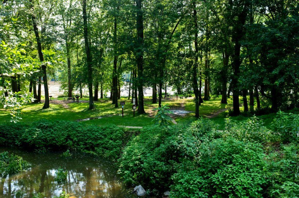 Campground at Swains Lock