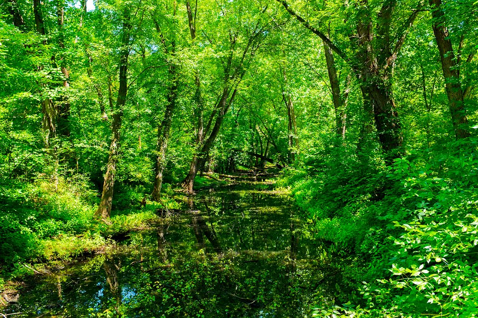Canal Prism at Spring Gap on 8 mile level of Old Town