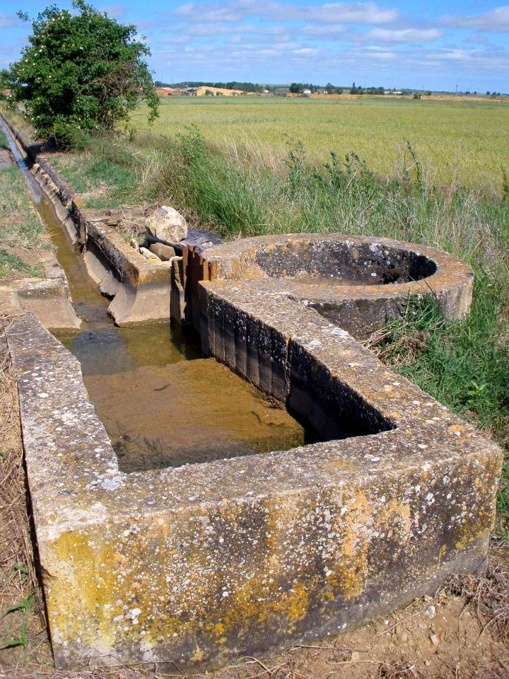 Canal del Pisuerga en Piña de Campos 1