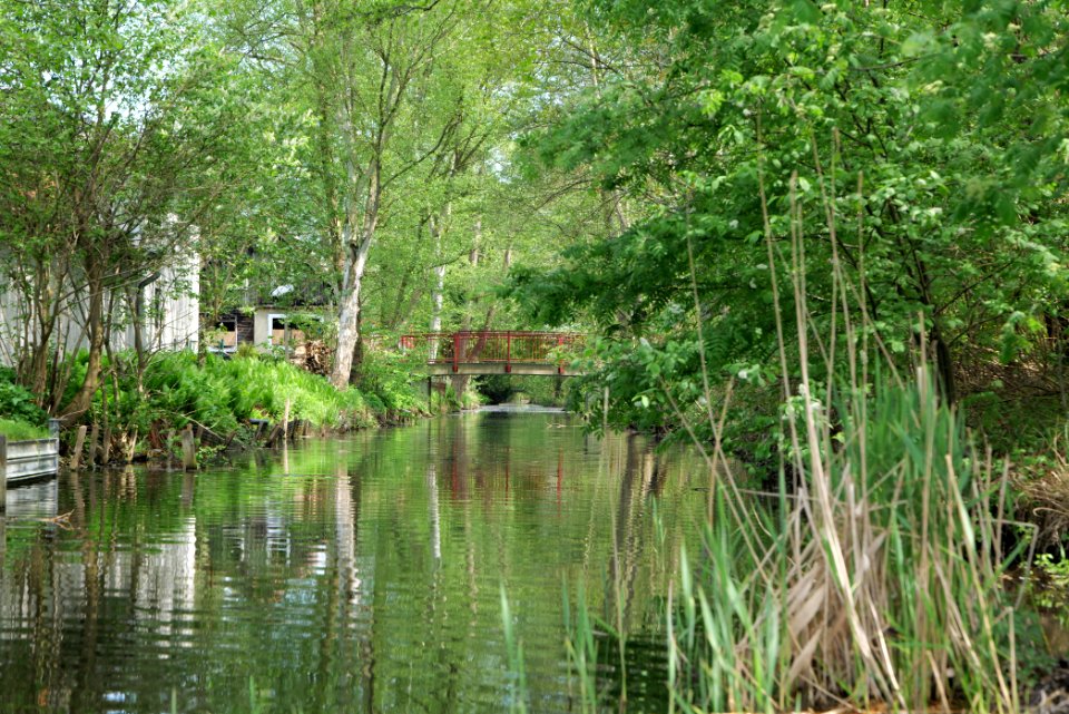 Canal in Rangsdorf 2021-05-11 08