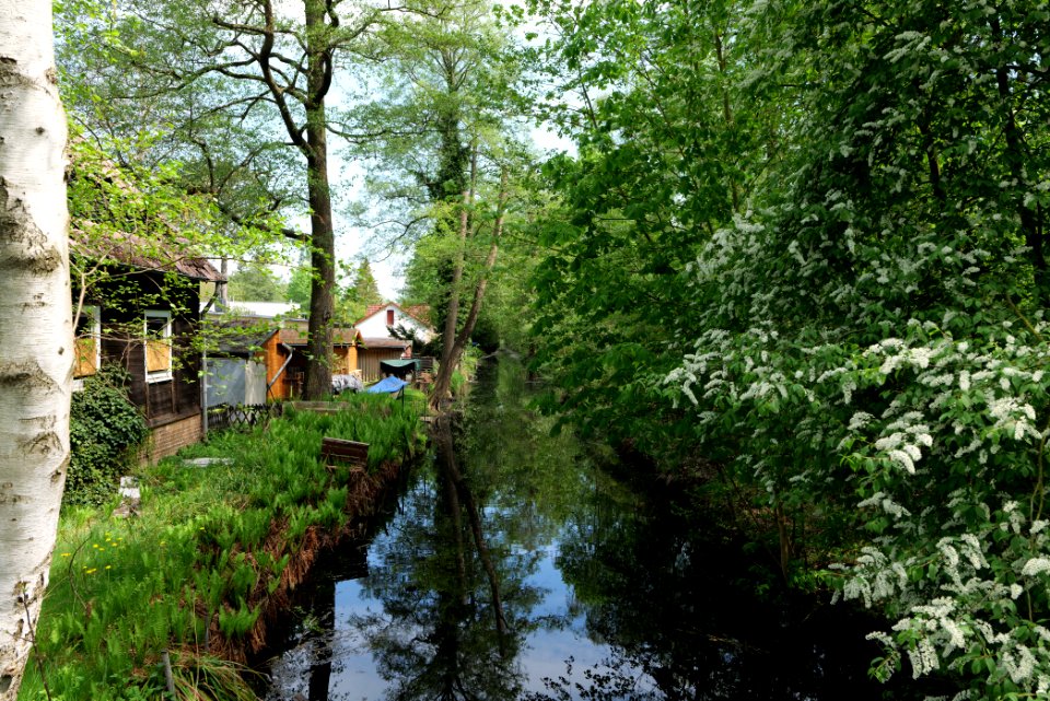 Canal in Rangsdorf 2021-05-11 05
