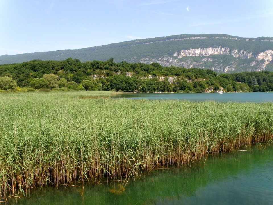 Canal de Savières 8