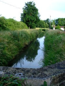 Canal du Forez à Chalain-d'Uzore (Loire, Fr)