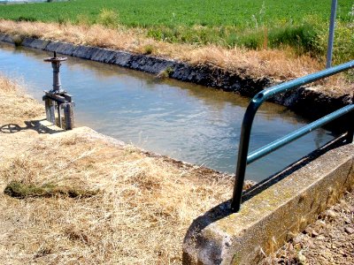Canal del Pisuerga en Piña de Campos 3