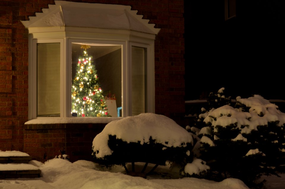 CanadaHomeHolidayTree2