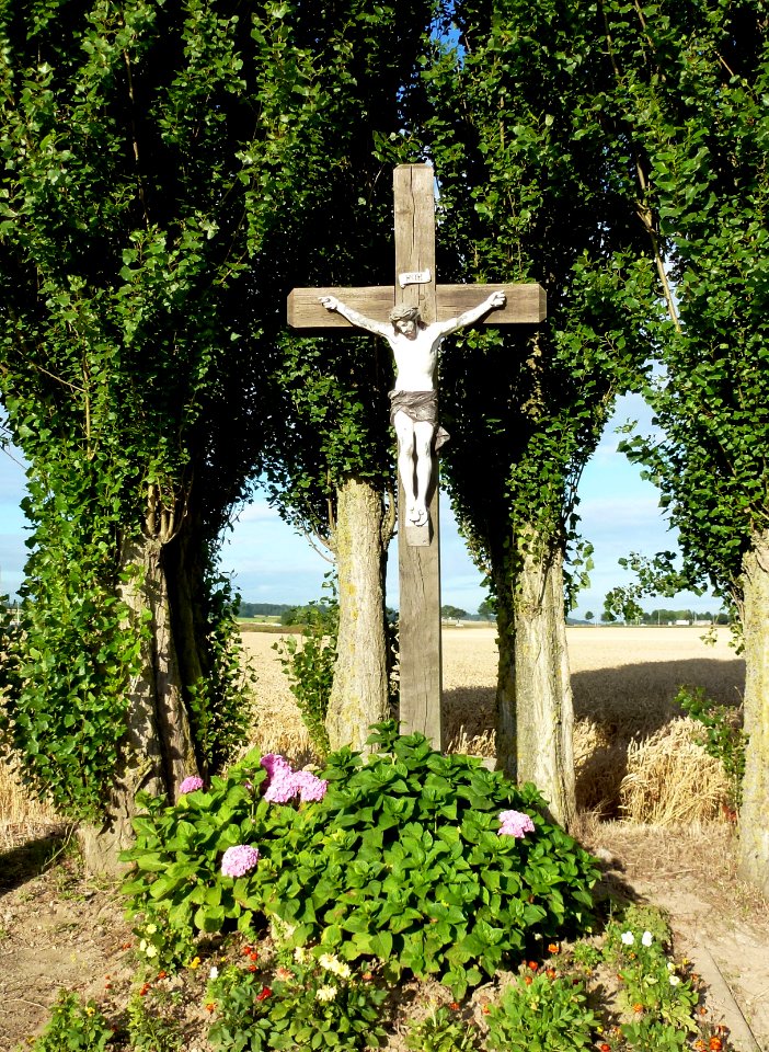 Campagne-lez-Wardrecques (Pas-de-Calais) croix de chemin, rue Principale