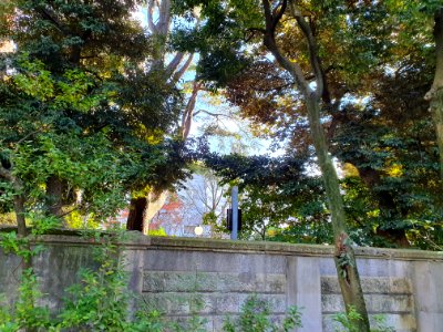 Canadian ambassador's residence in Tokyo, as seen from Takahashi Korekiyo park