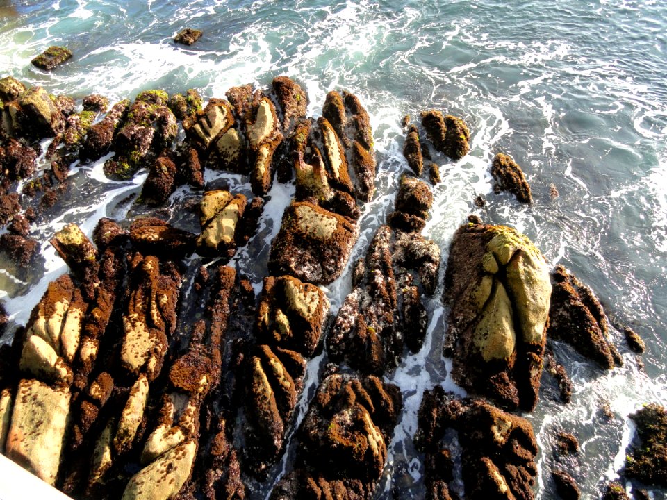 Cannery Row, Monterey - DSC06788